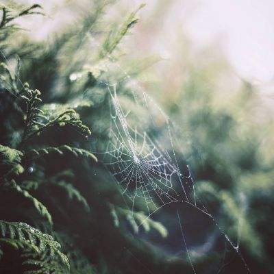 银河国际官网app下载